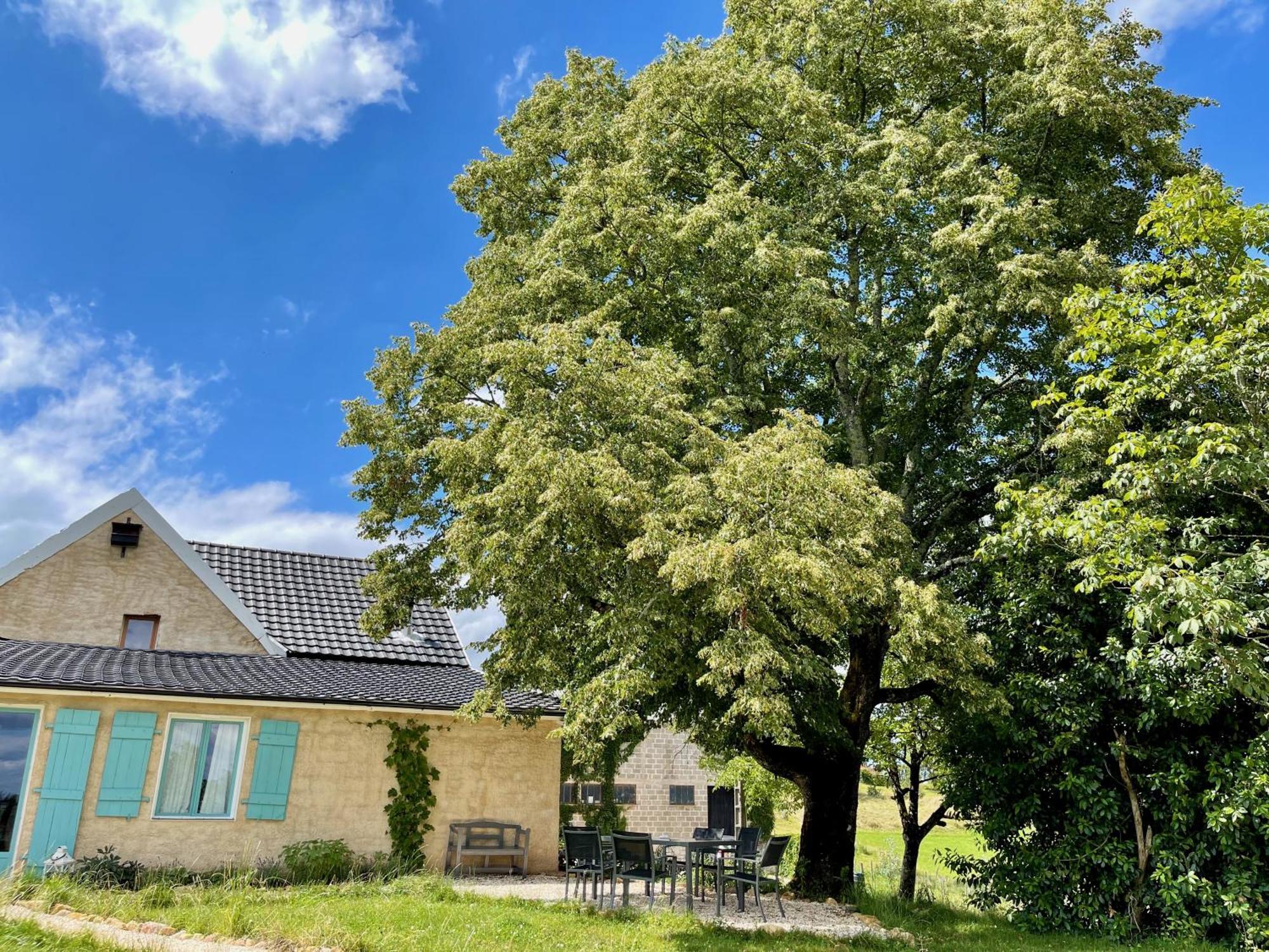 La Belle Petite Ferme Rosiers De Julliac 19350 Villa Le Bos Eksteriør billede
