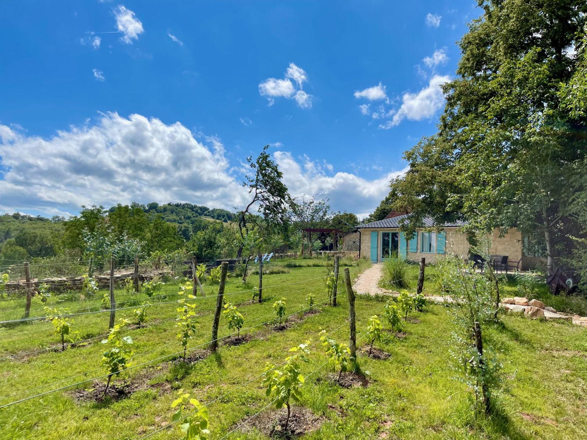 La Belle Petite Ferme Rosiers De Julliac 19350 Villa Le Bos Eksteriør billede